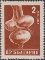 (1958-031) Марка Болгария "Лук" Перф греб 13   Стандартный выпуск. Овощи II Θ